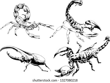 vector drawings sketches different insects bugs Scorpions spiders drawn in ink by hand , objects with no background
