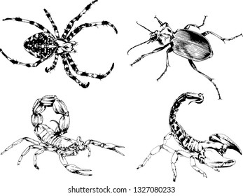 vector drawings sketches different insects bugs Scorpions spiders drawn in ink by hand , objects with no background