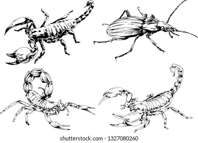 vector drawings sketches different insects bugs Scorpions spiders drawn in ink by hand , objects with no background