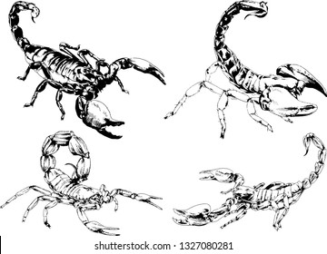 vector drawings sketches different insects bugs Scorpions spiders drawn in ink by hand , objects with no background