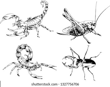 vector drawings sketches different insects bugs Scorpions spiders drawn in ink by hand , objects with no background