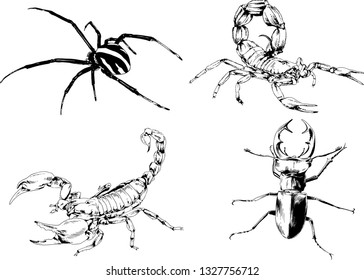 vector drawings sketches different insects bugs Scorpions spiders drawn in ink by hand , objects with no background