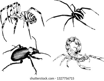 vector drawings sketches different insects bugs Scorpions spiders drawn in ink by hand , objects with no background