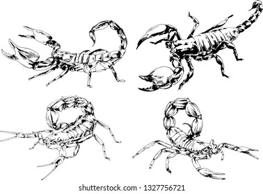 vector drawings sketches different insects bugs Scorpions spiders drawn in ink by hand , objects with no background