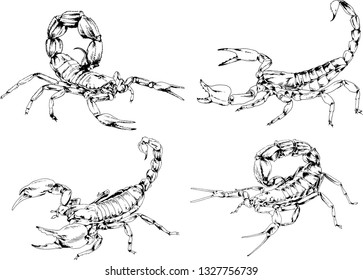 vector drawings sketches different insects bugs Scorpions spiders drawn in ink by hand , objects with no background