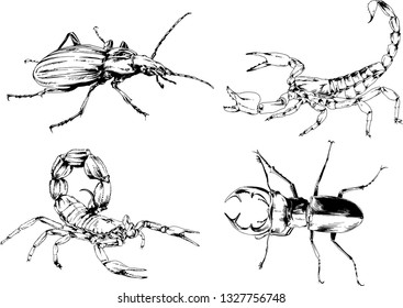 vector drawings sketches different insects bugs Scorpions spiders drawn in ink by hand , objects with no background