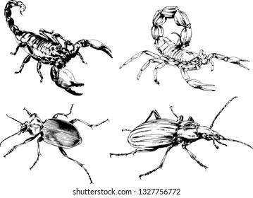 vector drawings sketches different insects bugs Scorpions spiders drawn in ink by hand , objects with no background