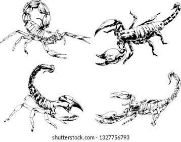 vector drawings sketches different insects bugs Scorpions spiders drawn in ink by hand , objects with no background
