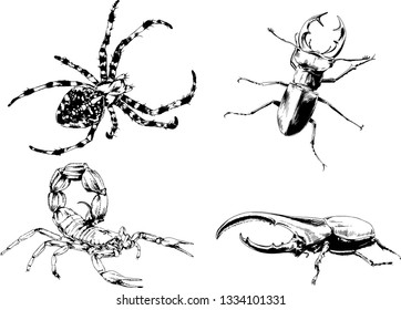vector drawings sketches different insects bugs Scorpions spiders drawn in ink by hand , objects with no background