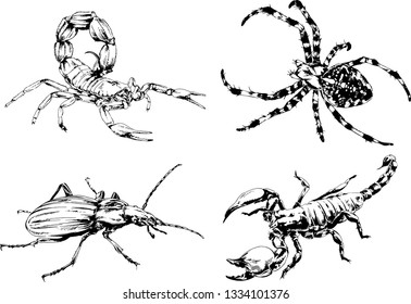vector drawings sketches different insects bugs Scorpions spiders drawn in ink by hand , objects with no background