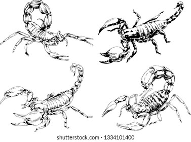 vector drawings sketches different insects bugs Scorpions spiders drawn in ink by hand , objects with no background