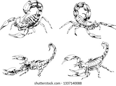 vector drawings sketches different insects bugs Scorpions spiders drawn in ink by hand , objects with no background