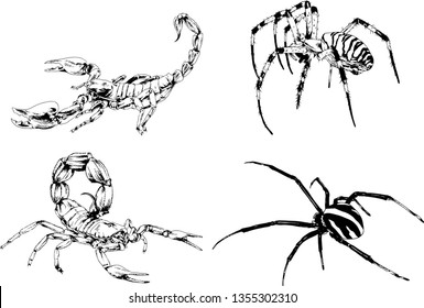 vector drawings sketches different insects bugs Scorpions spiders drawn in ink by hand , objects with no background