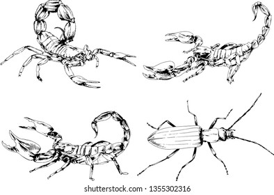 vector drawings sketches different insects bugs Scorpions spiders drawn in ink by hand , objects with no background