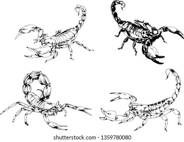 vector drawings sketches different insects bugs Scorpions spiders drawn in ink by hand , objects with no background