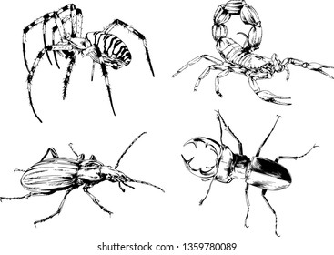 vector drawings sketches different insects bugs Scorpions spiders drawn in ink by hand , objects with no background