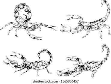 vector drawings sketches different insects bugs Scorpions spiders drawn in ink by hand , objects with no background