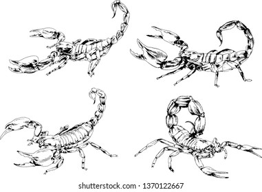 vector drawings sketches different insects bugs Scorpions spiders drawn in ink by hand , objects with no background