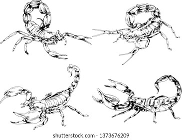 vector drawings sketches different insects bugs Scorpions spiders drawn in ink by hand , objects with no background