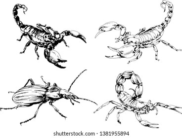 vector drawings sketches different insects bugs Scorpions spiders drawn in ink by hand , objects with no background