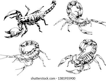 vector drawings sketches different insects bugs Scorpions spiders drawn in ink by hand , objects with no background