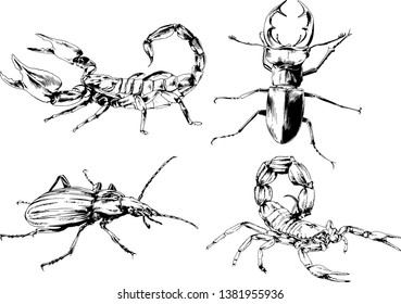 vector drawings sketches different insects bugs Scorpions spiders drawn in ink by hand , objects with no background