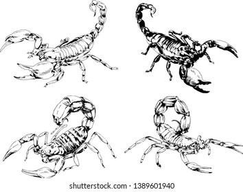vector drawings sketches different insects bugs Scorpions spiders drawn in ink by hand , objects with no background