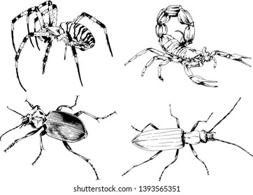 vector drawings sketches different insects bugs Scorpions spiders drawn in ink by hand , objects with no background