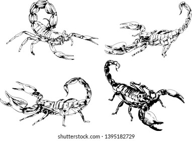 vector drawings sketches different insects bugs Scorpions spiders drawn in ink by hand , objects with no background