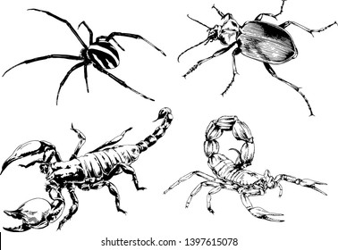 vector drawings sketches different insects bugs Scorpions spiders drawn in ink by hand , objects with no background