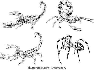 vector drawings sketches different insects bugs Scorpions spiders drawn in ink by hand , objects with no background