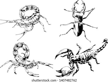 vector drawings sketches different insects bugs Scorpions spiders drawn in ink by hand , objects with no background