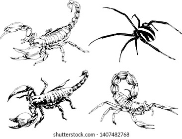 vector drawings sketches different insects bugs Scorpions spiders drawn in ink by hand , objects with no background