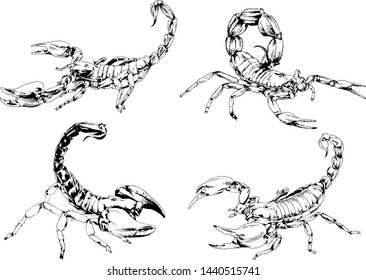 vector drawings sketches different insects bugs Scorpions spiders drawn in ink by hand , objects with no background