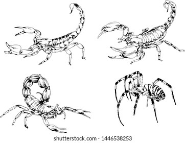 vector drawings sketches different insects bugs Scorpions spiders drawn in ink by hand , objects with no background