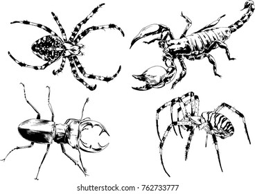 vector drawings sketches different insects bugs Scorpions spiders drawn in ink by hand , objects with no background