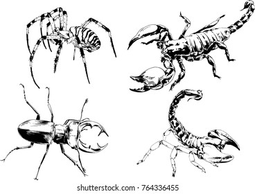 vector drawings sketches different insects bugs Scorpions spiders drawn in ink by hand , objects with no background
