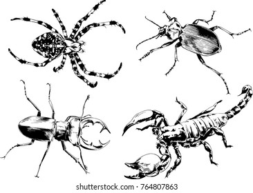 vector drawings sketches different insects bugs Scorpions spiders drawn in ink by hand , objects with no background