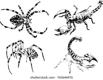 vector drawings sketches different insects bugs Scorpions spiders drawn in ink by hand , objects with no background