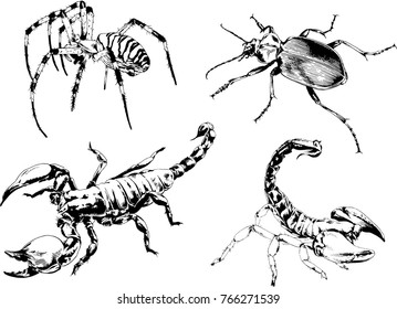 vector drawings sketches different insects bugs Scorpions spiders drawn in ink by hand , objects with no background