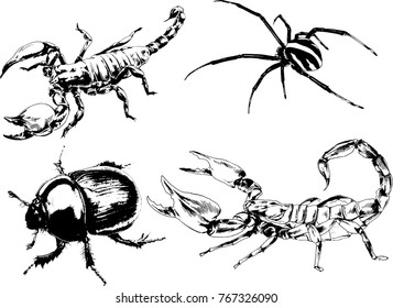 vector drawings sketches different insects bugs Scorpions spiders drawn in ink by hand , objects with no background