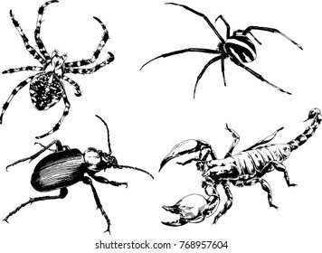 vector drawings sketches different insects bugs Scorpions spiders drawn in ink by hand , objects with no background