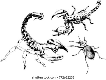 vector drawings sketches different insects bugs Scorpions spiders drawn in ink by hand , objects with no background