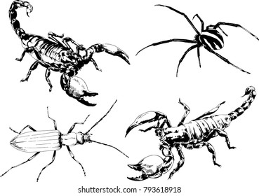 vector drawings sketches different insects bugs Scorpions spiders drawn in ink by hand , objects with no background