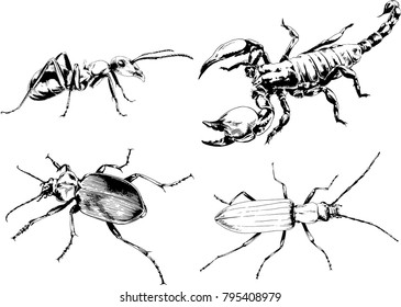 vector drawings sketches different insects bugs Scorpions spiders drawn in ink by hand , objects with no background