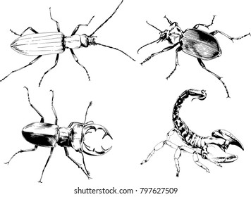 vector drawings sketches different insects bugs Scorpions spiders drawn in ink by hand , objects with no background