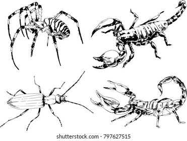 vector drawings sketches different insects bugs Scorpions spiders drawn in ink by hand , objects with no background