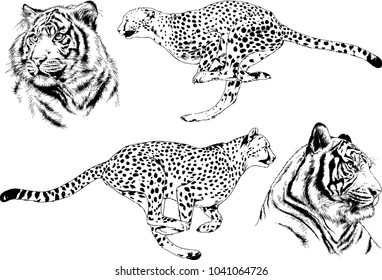 Vector Set Black Silhouette Wild Animals Stock Vector (Royalty Free ...