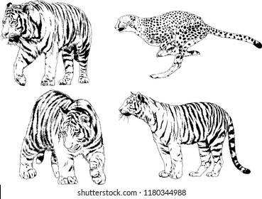 Vector Set Black Silhouette Wild Animals Stock Vector (Royalty Free ...