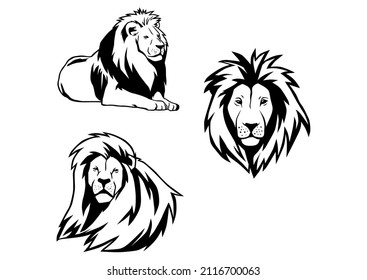 vector drawings sketches different predator , tigers, lions ,cheetahs and leopards are drawn in ink by hand , objects with no background